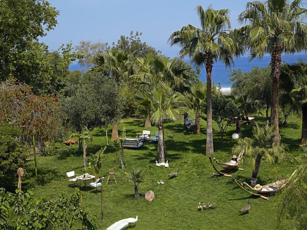 Olympos Lodge Cirali Exterior photo