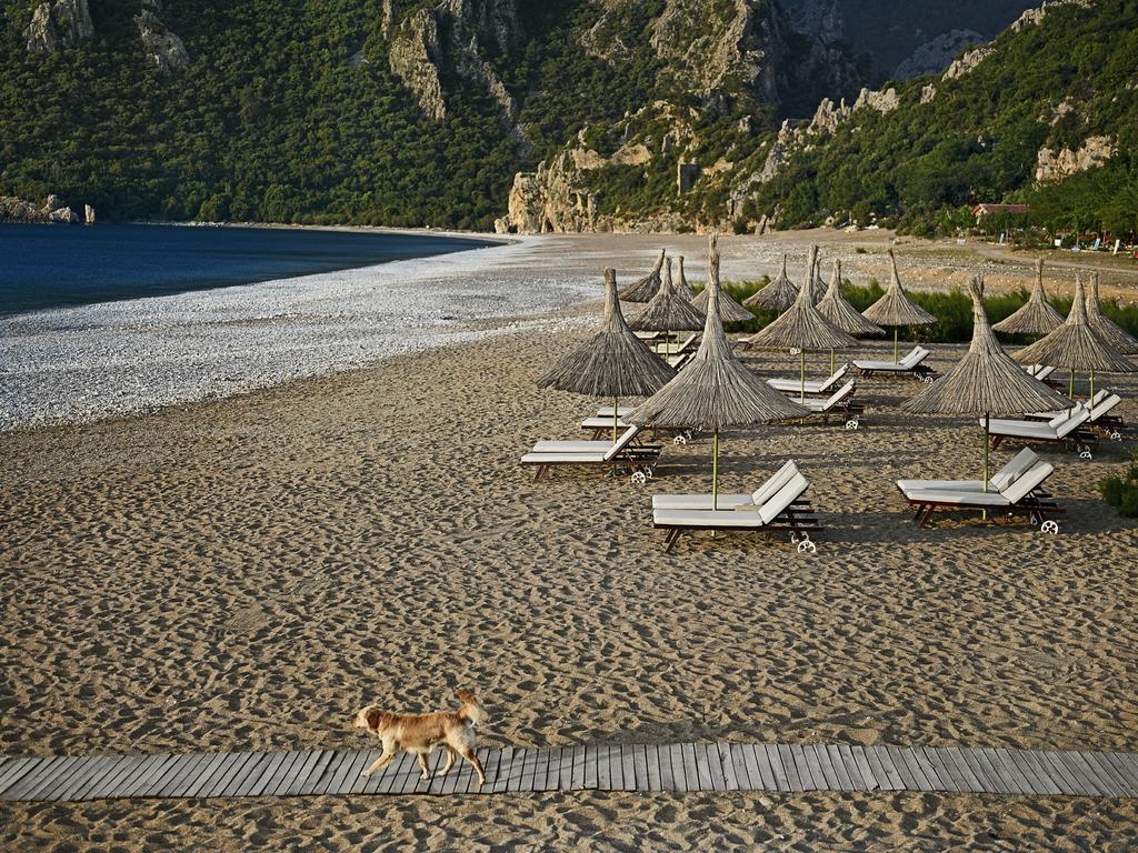 Olympos Lodge Cirali Exterior photo