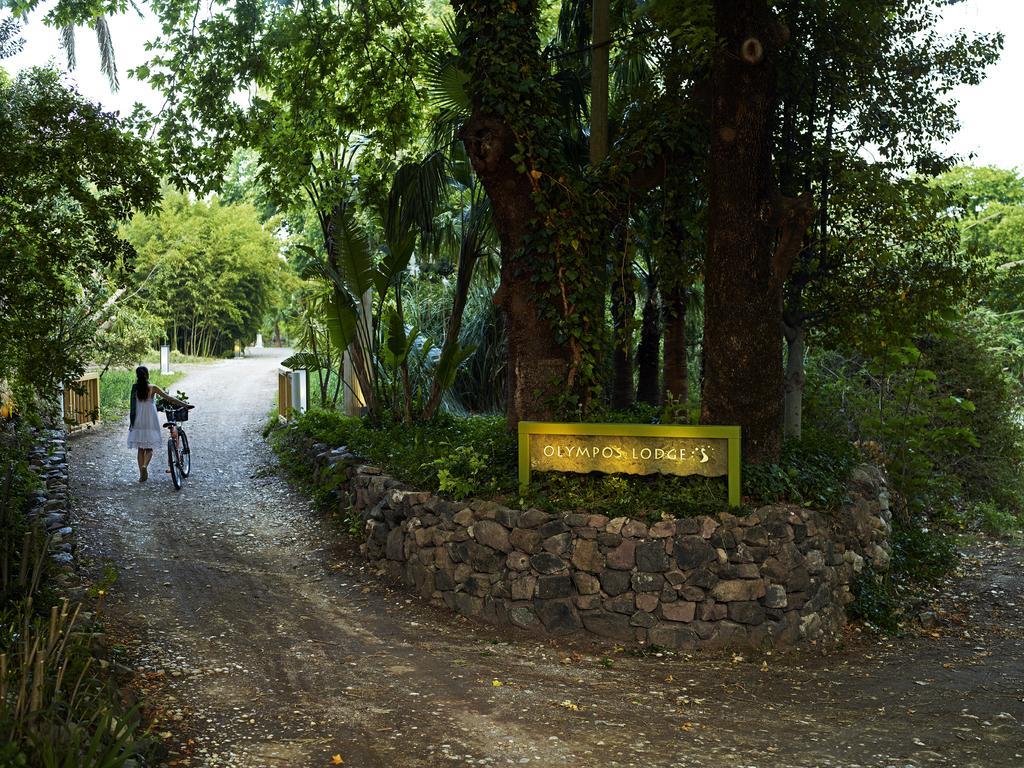 Olympos Lodge Cirali Exterior photo